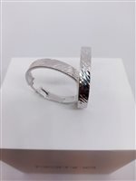 Orecchini Venerio Donna in Argento OR050609R - OR050609R